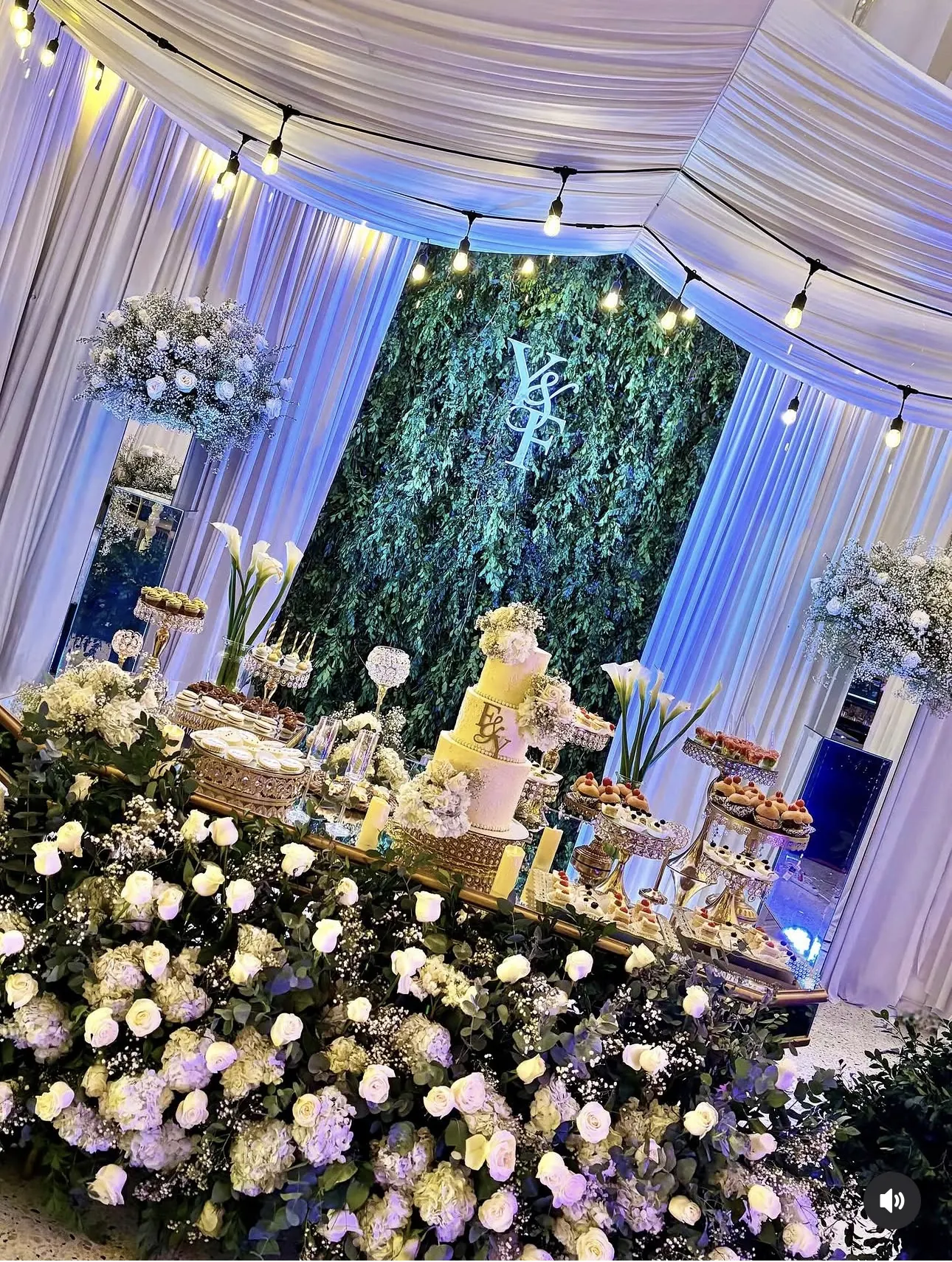 Bodas